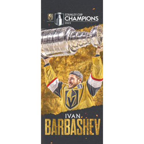 #49 Ivan Barbashev Stanley Cup Champion Banner