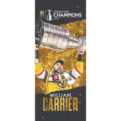 #28 William Carrier Stanley Cup Champion Banner