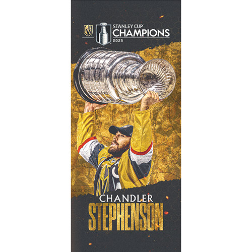 #20 Chandler Stephenson Stanley Cup Champion Banner