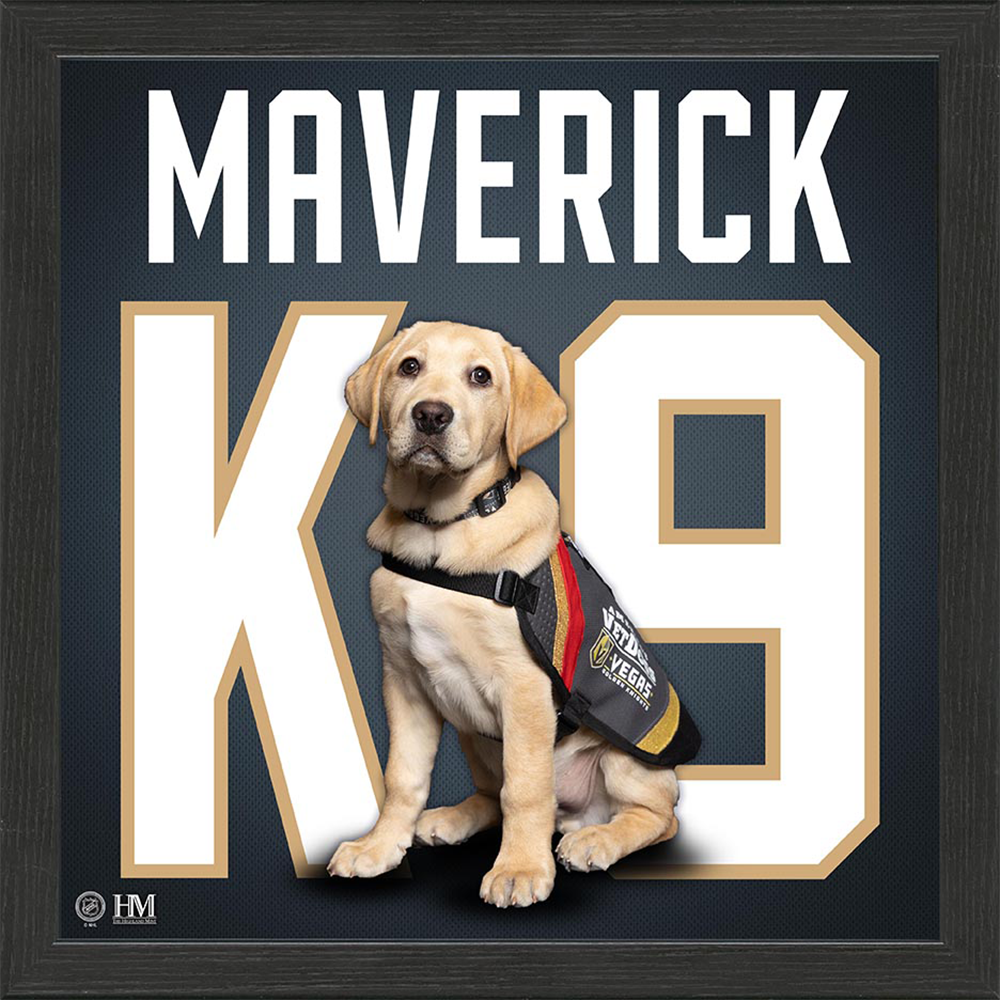 Vegas Golden Knights Maverick Jersey Frame