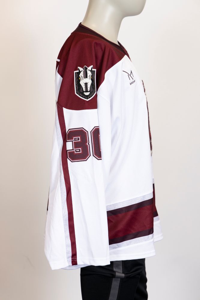 Game-Issued:#30 Jiri Patera Donate Life Jersey-565