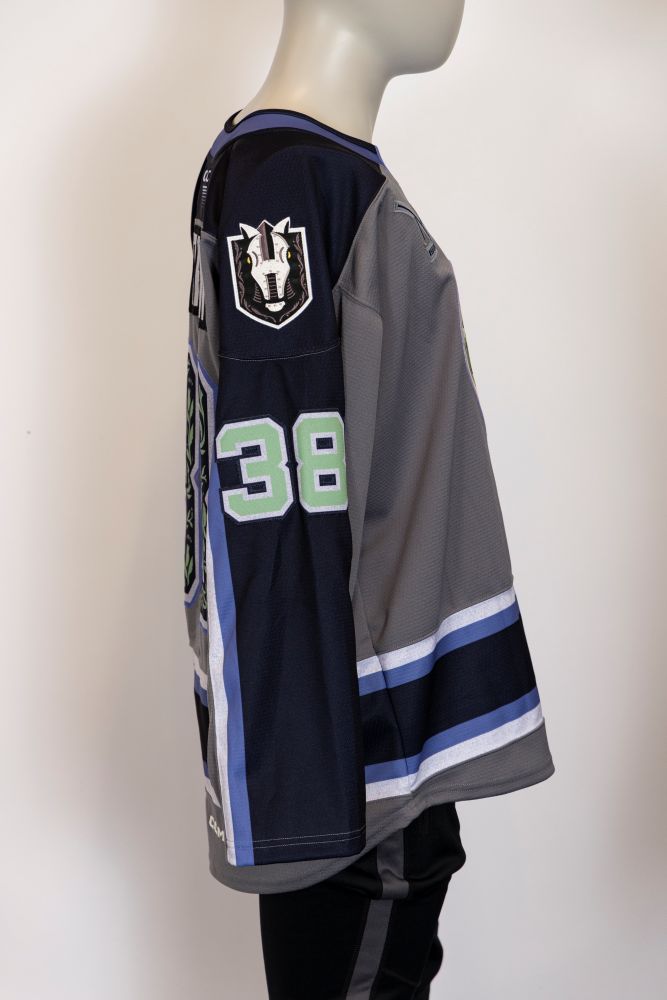 Game-Issued:#38 Jordan Gustafsson Donate Life Jersey-441