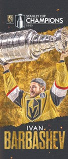 #49 Ivan Barbashev Stanley Cup Championship Banner - Banner