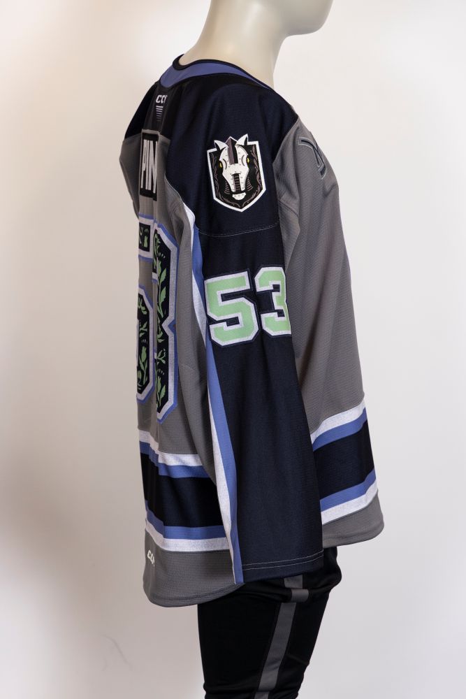 Game-Issued:#53 Simon Pinard Donate Life Jersey-560