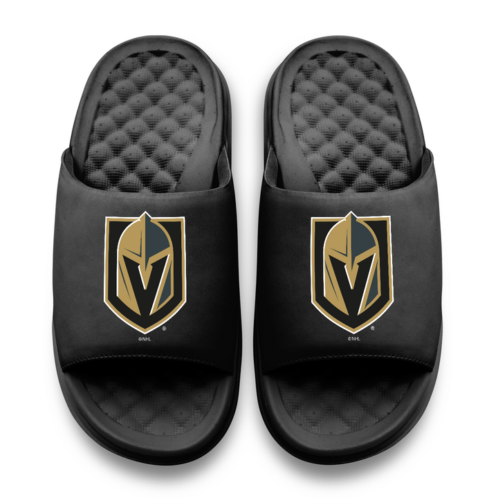 Vegas Golden Knights Primary Motive Slides