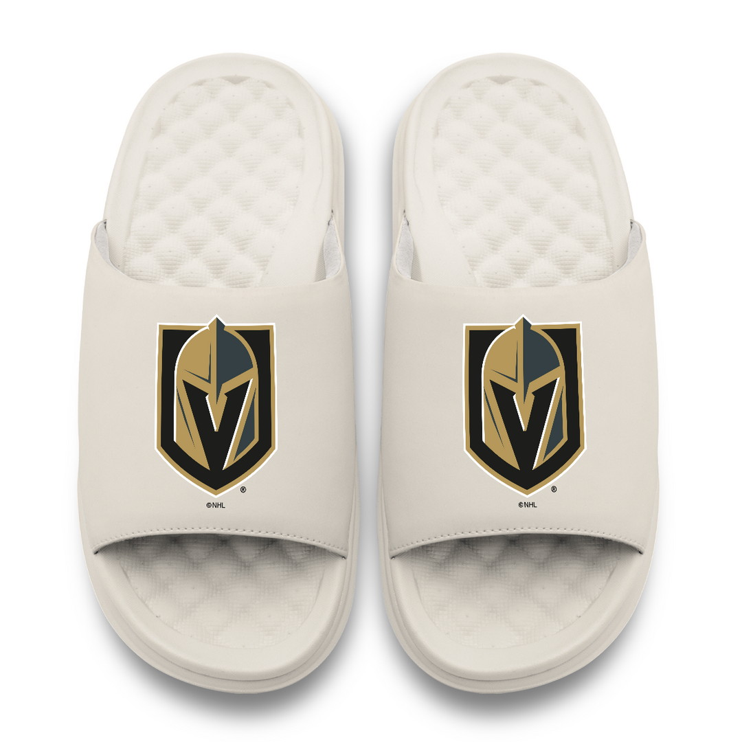Vegas Golden Knights Primary Motive Slides