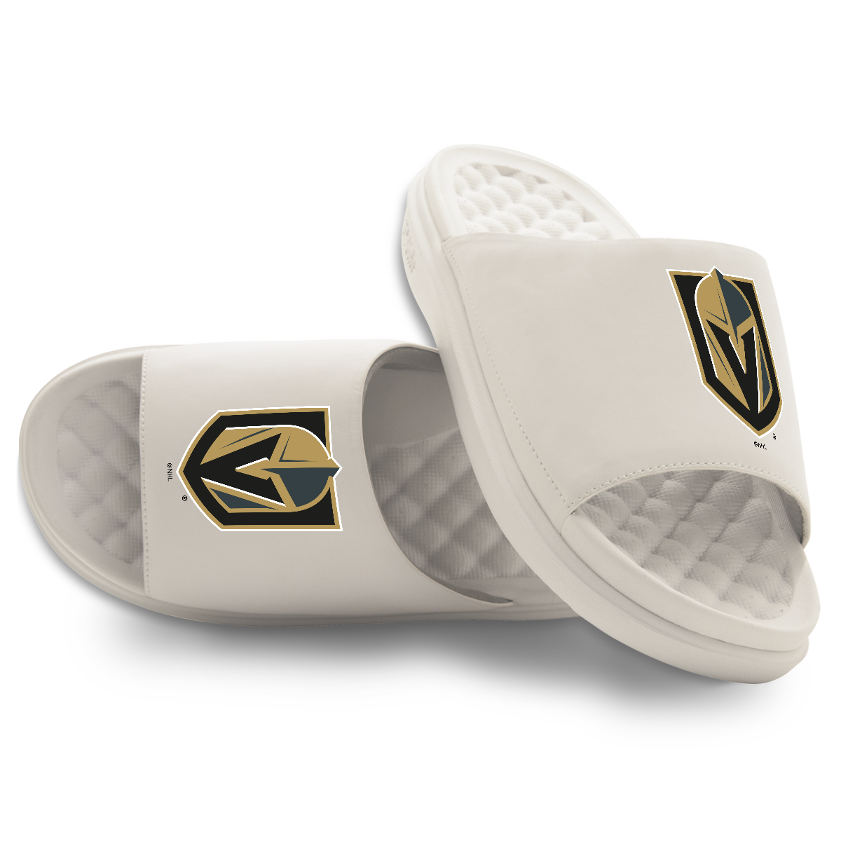 Vegas Golden Knights Primary Motive Slides
