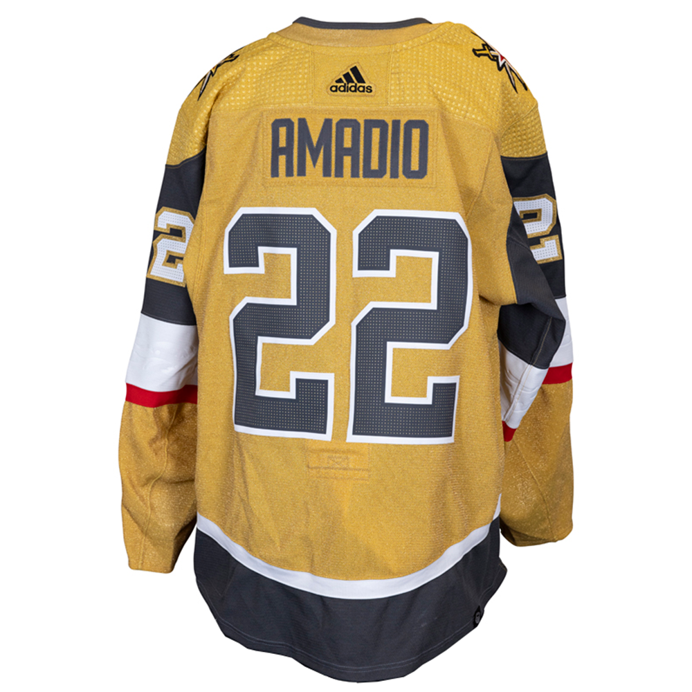 Game-Worn: #22 Michael Amadio 2023-2024 Stanley Cup Playoff Jersey - 16816