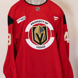 #48 Tomas Hertl Red Practice Jersey - 20246