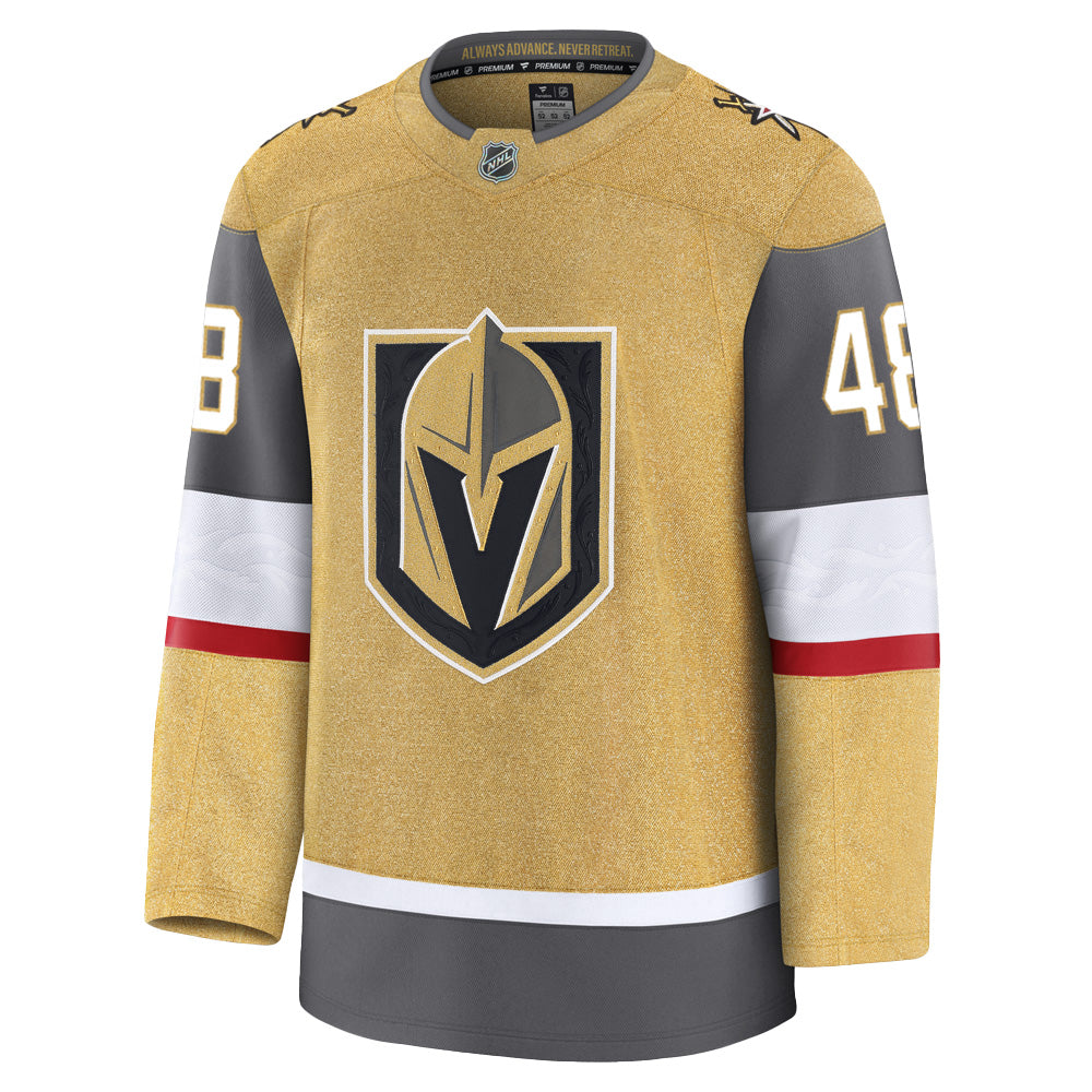 Vegas Golden Knights Fanatics Premium Stitched Tomas Hertl Jersey