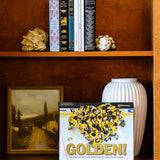 GOLDEN! The Story of the Vegas Golden Knights’ Stanley Cup Season