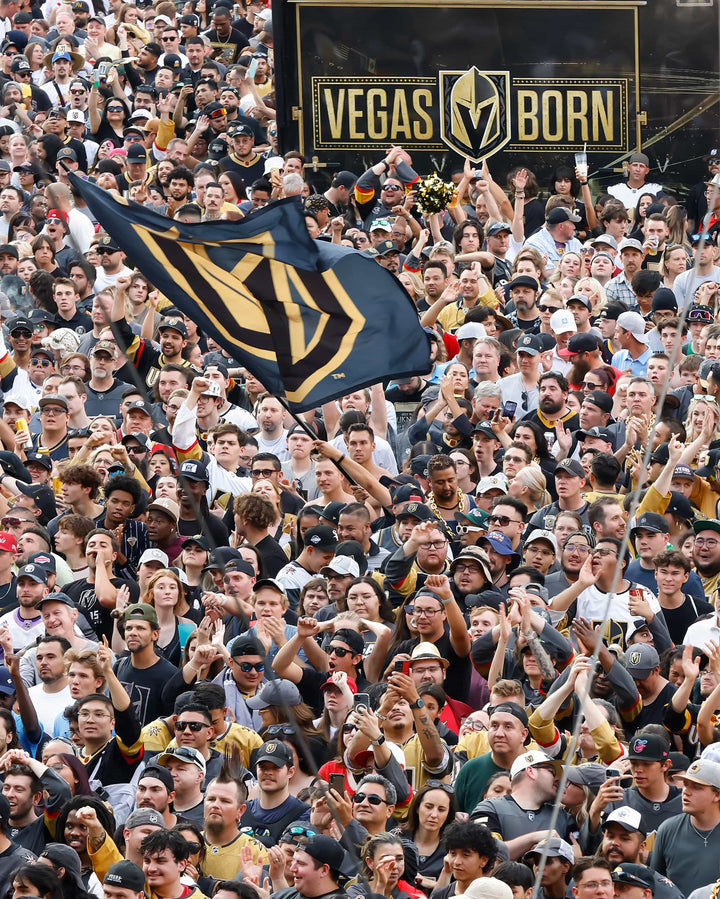 Vegas Golden Knights "GOLDEN!: The Story of the Vegas Golden Knights' Stanley Cup Season"