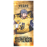 #20 Chandler Stephenson 2023 Uknight The Realm Street Pole Banner - SC380