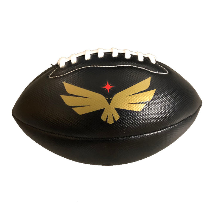 Vegas Knight Hawks Mini Football