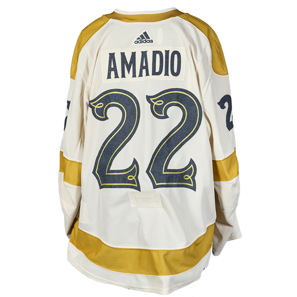 Game-Worn #22 Michael Amadio Winter Classic Jersey - 16070