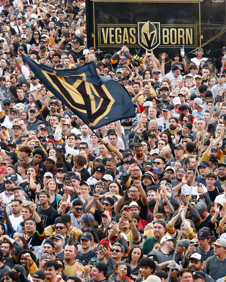 Vegas Golden Knights ’GOLDEN!: The Story of the Vegas