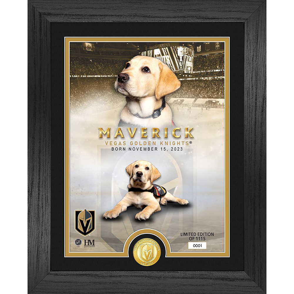 Vegas Golden Knights Maverick Bronze Coin Frame - Décor