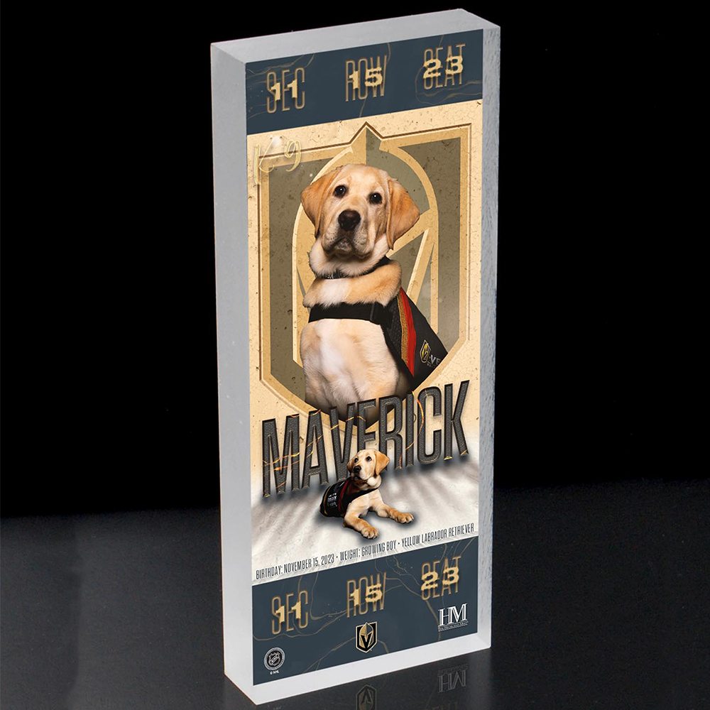 Vegas Golden Knights Maverick Commemorative Ticket Block