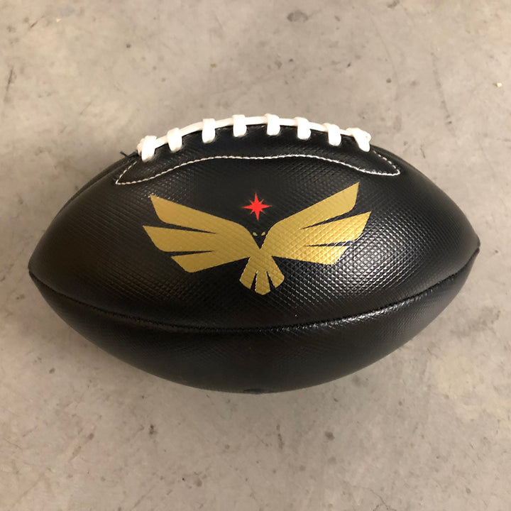 VEGAS KNIGHT HAWKS MINI FOOTBALL
